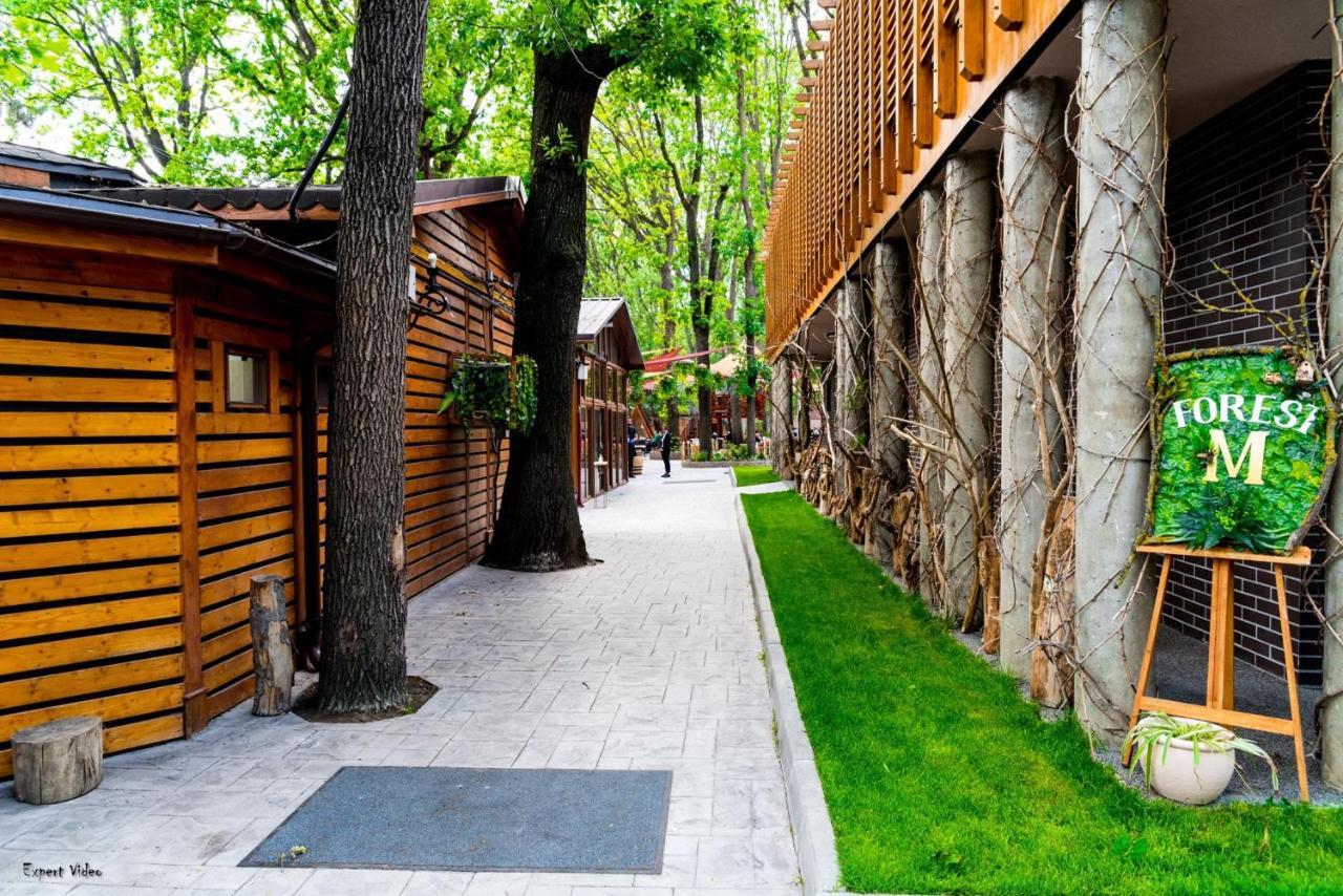 Forest M,Constanta Valu lui Traian Bagian luar foto